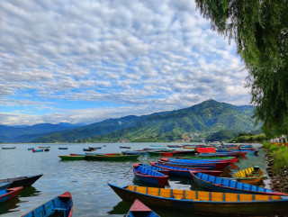 फेवाताल किनारका पुराना डुंगा व्यवस्थापन गर्न थालियो