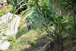 पाखो बारीमा ब्याञ्जू दम्पतीको फरक व्यवसाय, १५ जनालाई रोजगारीसमेत