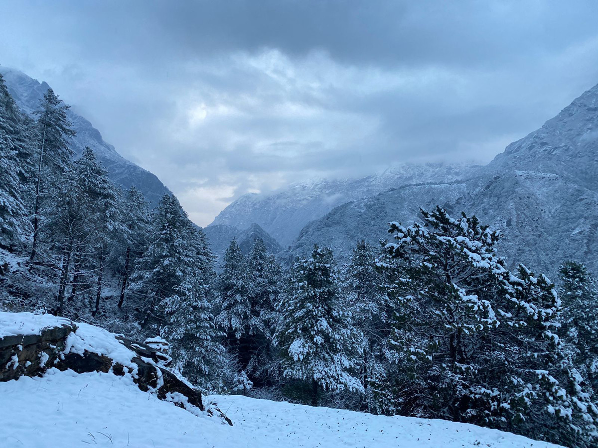 हिउँमा फसेका ३४ जना ५ दिनपछि घर फर्किए