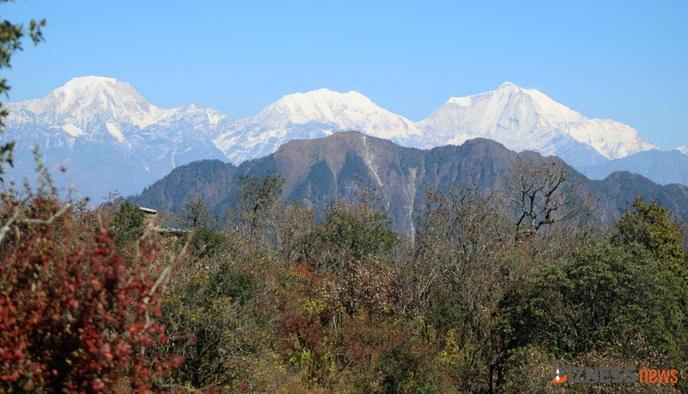 वनको घनत्वसम्बन्धी ११ सूचकमध्ये ६ को प्रगति न्यून, चारको शून्य