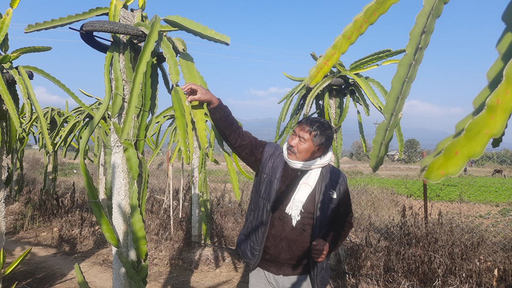 उदाहरणीय किसान बनिरहेका छन् पूर्वमन्त्री लोकेन्द्र विष्ट