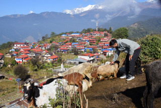 घलेगाउँका घरबास पर्यटकले खचाखच, सञ्चालकलाई भ्याइनभ्याइ