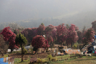 पर्यटकको पर्खाइमा घोडेपानी