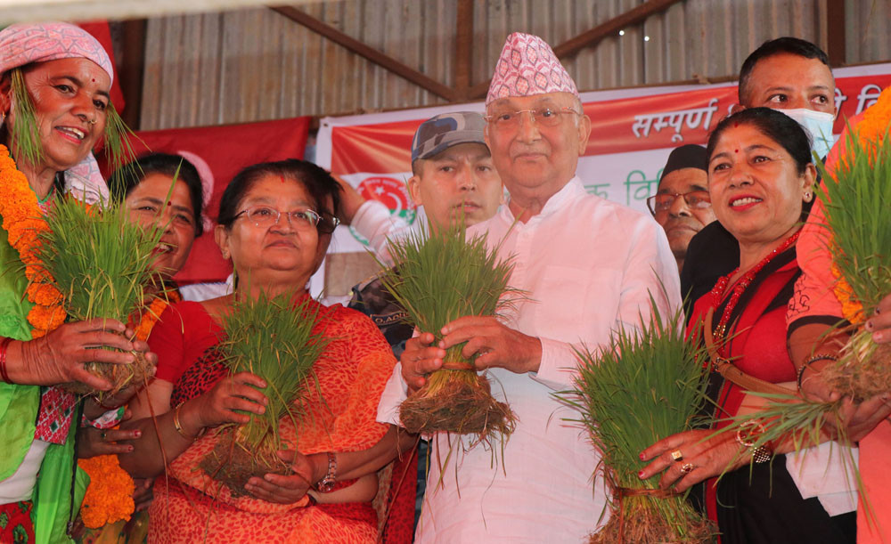 केपी ओली भन्छन् - प्लटिङका कारण बस्ती र खेती गोलमाल भयो, गल्ती सुधारे धान निर्यात गर्नेमा पुगिन्छ 