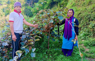 उत्पादन बढाउन कृषकलाई भत्ता