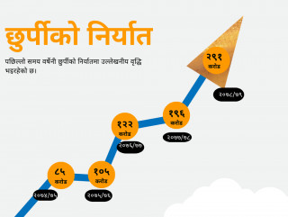 पाँच वर्षमा २४२ प्रतिशतले बढ्यो छुर्पी निर्यात; अब निर्यात अनुदान पनि