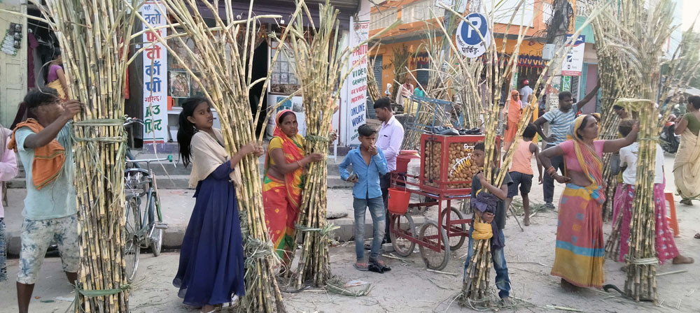 विधिवतरुपमा सुरु भयो छठ पर्व, आज ‘नहाय-खाय’