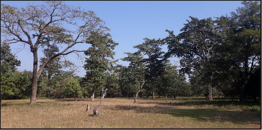 धनगढीको एकीकृत फोहोरमैला व्यवस्थापन केन्द्र निर्माणको जिम्मा चिनियाँ कम्पनीलाई