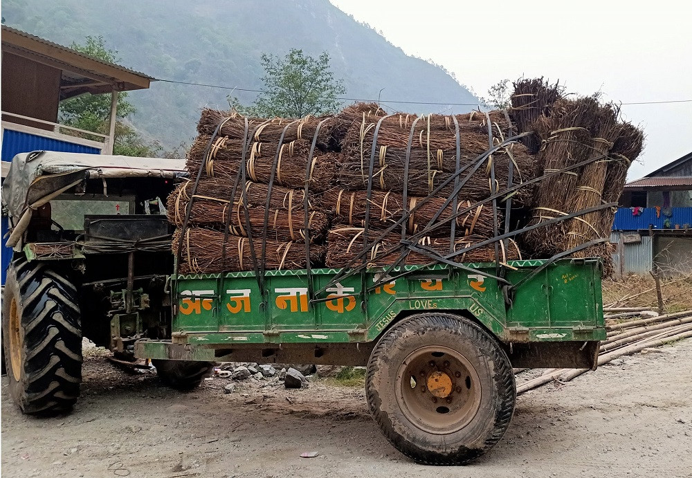 पूर्वीनाकाबाट ८ करोडको जडीबुटी निर्यात