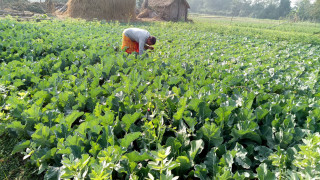 अनुदान कार्यक्रममा छानिए ९२ वटा कृषि फार्म,  कृषकलाई डेढ करोड अनुदान