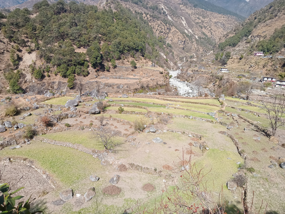 हिमपात नहुँदा भोकमरीको जोखिममा सुर्मा, यो वर्ष ८० प्रतिशत बाली सुक्ने अनुमान