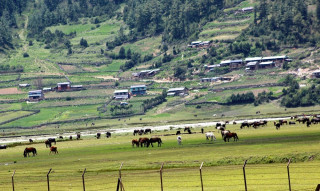 गर्मीयाम सुरू भएसँगै ढोरपाटन उक्लिए चिसो छल्न बोबाङ झरेका गोठाला, किसान