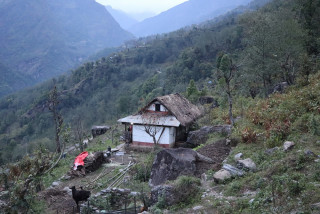 वर्षाको कहर : पानीको थोपा नझर्ने घरको कतै कुना खोज्दाखोज्दै उज्यालो हुन्छ