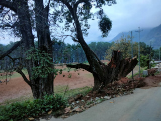 चौतारी, पोखरी र वर पीपल संरक्षण गर्दै जैमिनी