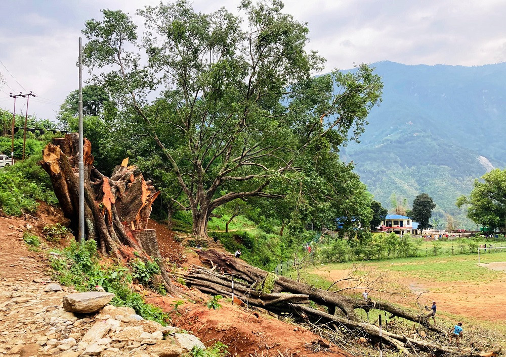 सडकले मासियो सम्पदा