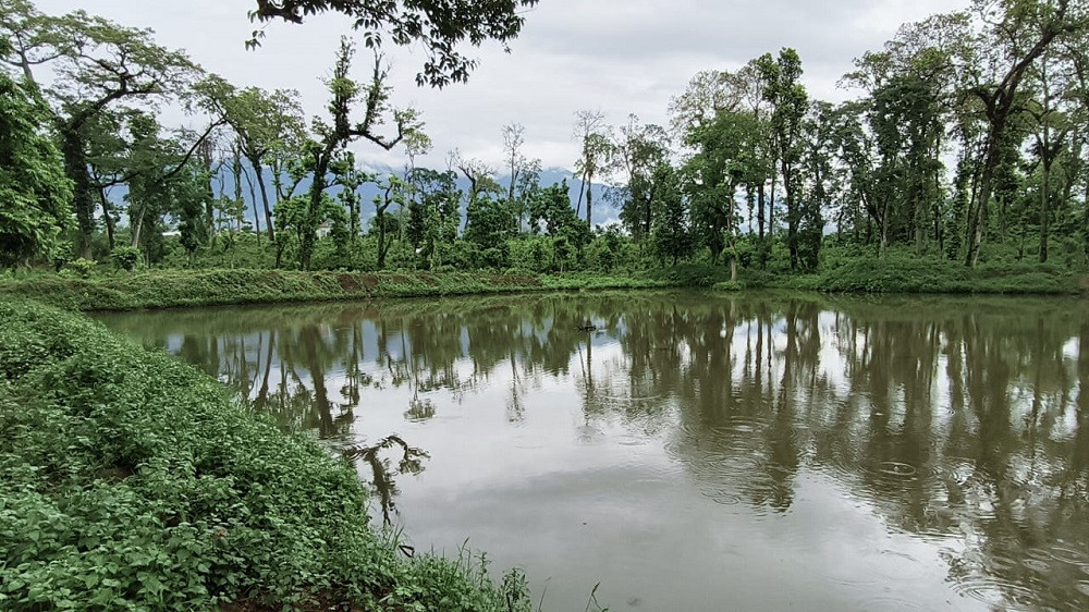 वन्यजन्तुका लागि सामुदायिक वनमा पोखरी 