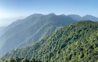 राष्ट्रिय वनबाट निकालिने खनिजजन्य वन पैदावारबापत लाग्ने वातावरणीय शुल्क २५ बाट १० प्रतिशतमा झारियो