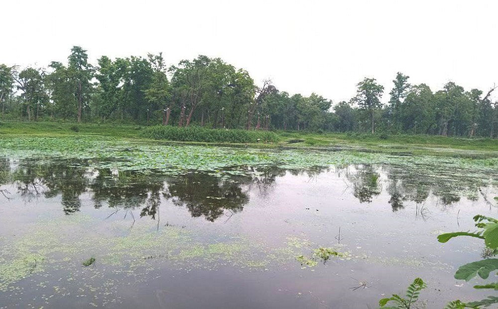 तालको संरक्षण गर्दै धनगढी उपमहानगर