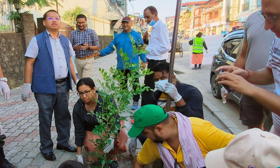 भरतपुरमा हरियाली प्रवर्द्धनका लागि पाँच करोड