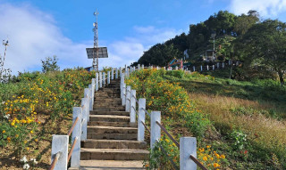 मझुवागढीमा ढकमक्क फूल