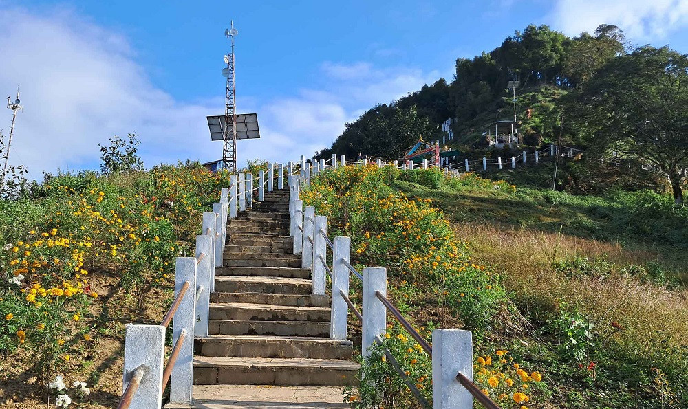 मझुवागढीमा ढकमक्क फूल