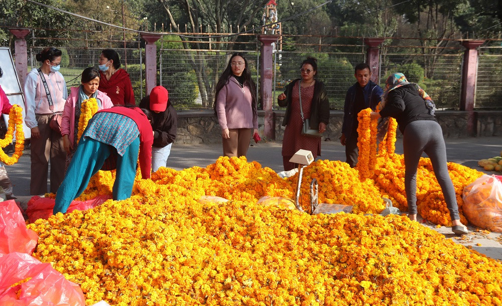 तिहारमा २४ करोड रुपैयाँ बराबरको फूलको कारोबार