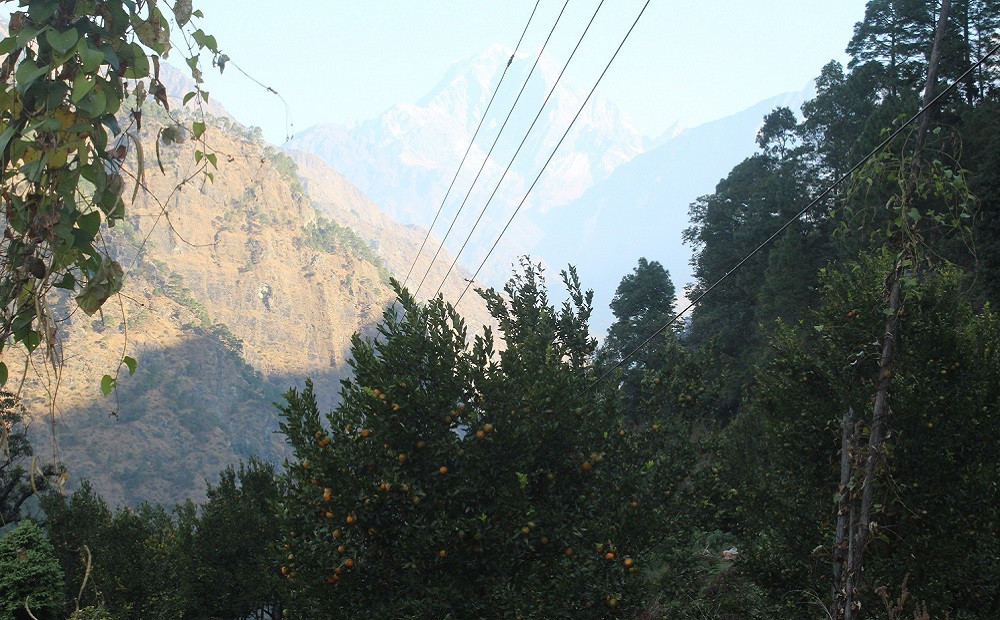 सुन्तलाको बगैँचा पस्न डराउँछन् दोसल्लेवासी