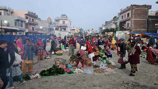 कृषि उपज बिक्री केन्द्रले सहज : किसानलाई खोजेको मूल्य, उपभोक्तालाई रोजेको सामान