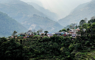 बसाइँसराइले रित्तिदै गाउँ : बढ्यो बाँदर आतंक