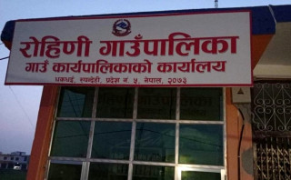 रोहिणी गाउँपालिकाले सुरु गर्‍यो बालिका बीमा कार्यक्रम