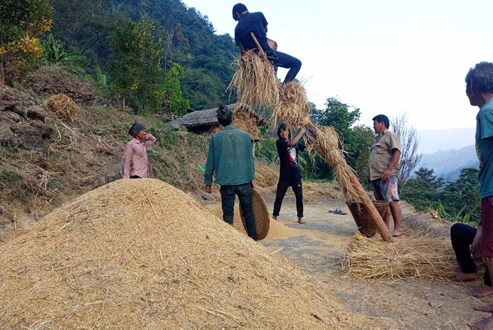 खाद्य कम्पनीद्वारा सिरहामा धान खरिद सुरु