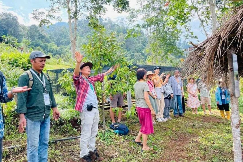 प्रांगारिक उत्पादन अध्ययनको केन्द्र होलीग्रीन