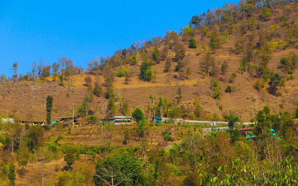 बाँदरबाट आजित सर्कुवावासी