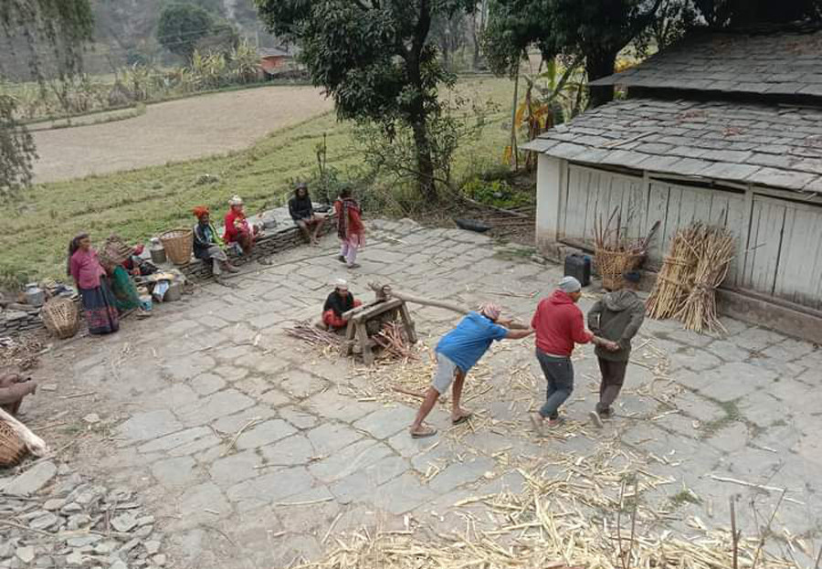 उखु, अमिलो र तोरी पेल्ने परम्परागत कोल