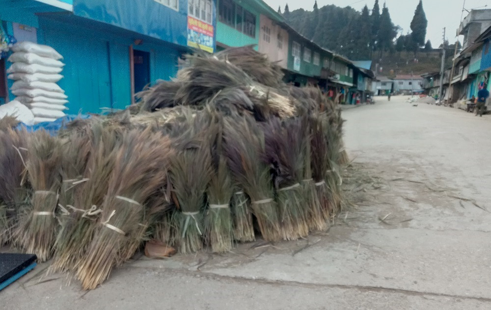 कुचोको मूल्य घटेपछि समस्यामा इलामका अम्रिसो किसान