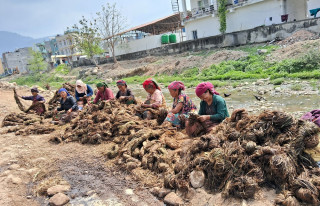 तिलकुमारीको अल्लो उद्योग, जहाँ ३५ जनाभन्दा बढी महिलाले पाएका छन् रोजगारी