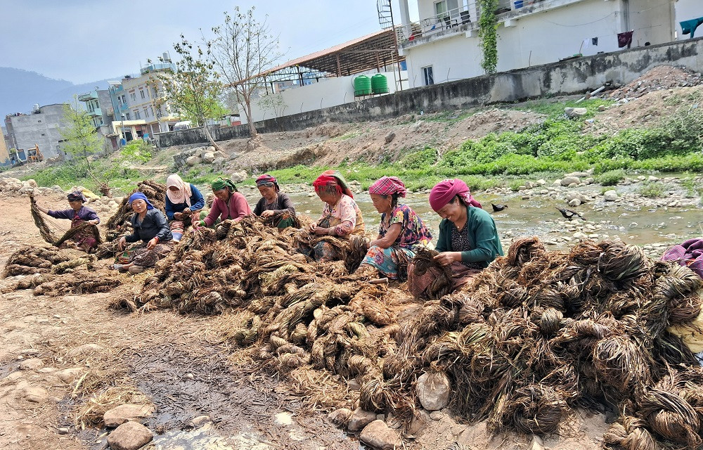 तिलकुमारीको अल्लो उद्योग, जहाँ ३५ जनाभन्दा बढी महिलाले पाएका छन् रोजगारी