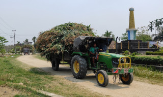 बोटैसँगै मकै बिक्री भएपछि झापाका किसान उत्साहित