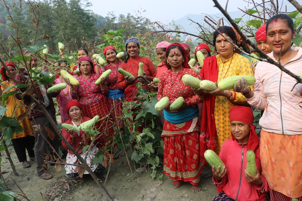 सामूहिक कृषिमा महिलाको आकर्षण बढ्दो, आम्दानी पनि छ राम्रो