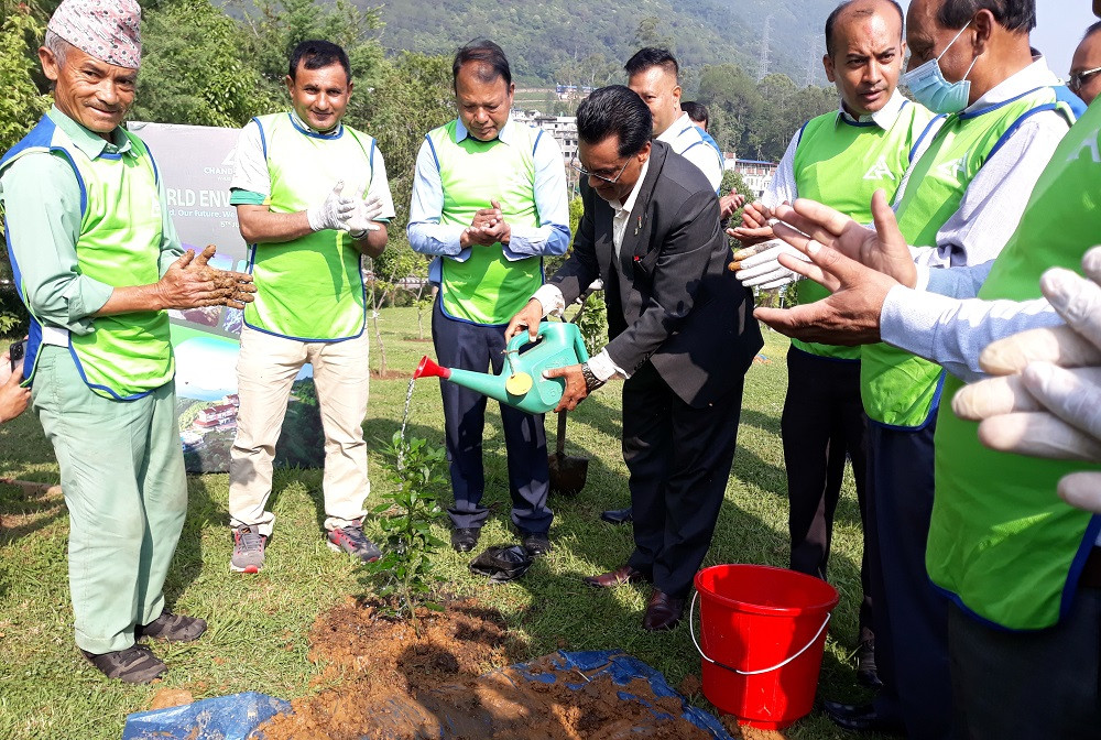 चन्द्रागिरिमा लगाइयो वनजाई, चुत्रो र टिम्बुरका बिरुवा