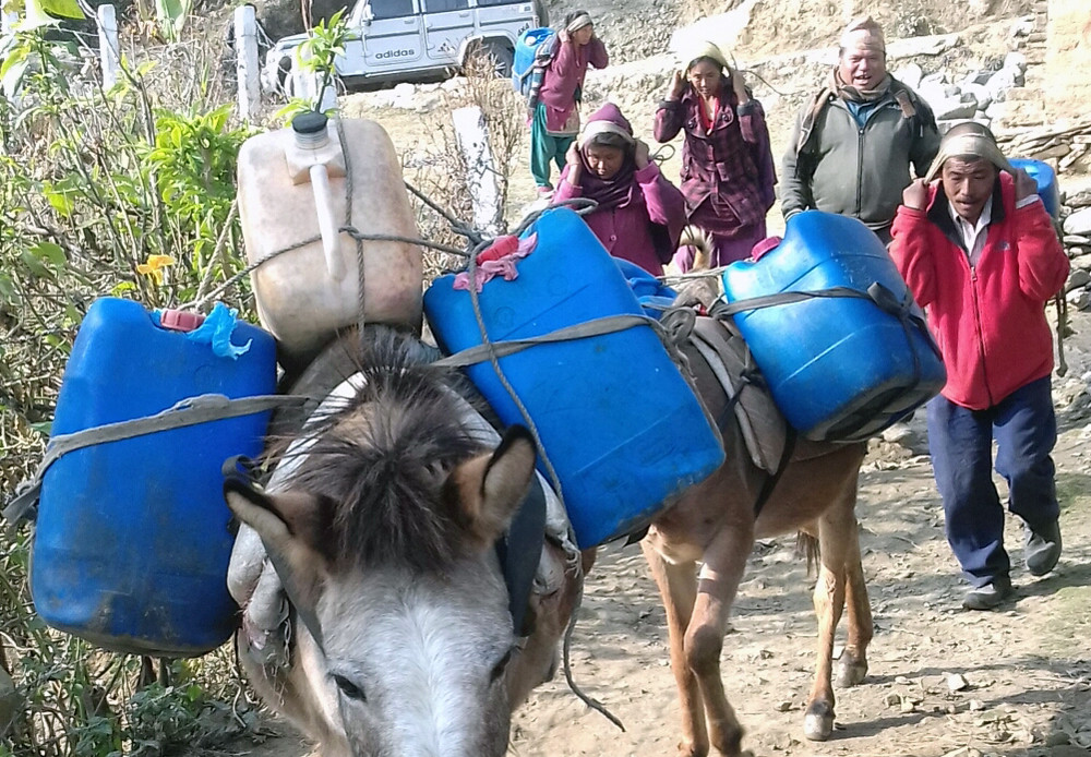 दूधमा आत्मनिर्भर बन्यो काभ्रे