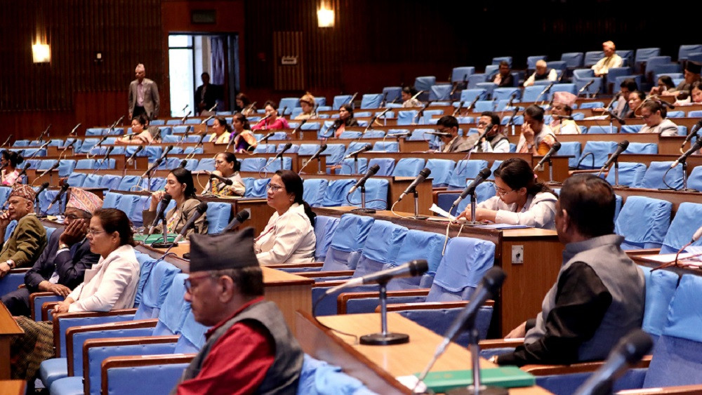 प्रतिनिधिसभाबाट भन्सार महसुल विधेयक २०८१ पारित