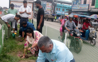 विराटनगरमा सुरु भयो सडक सुन्दर बनाउने अभियान