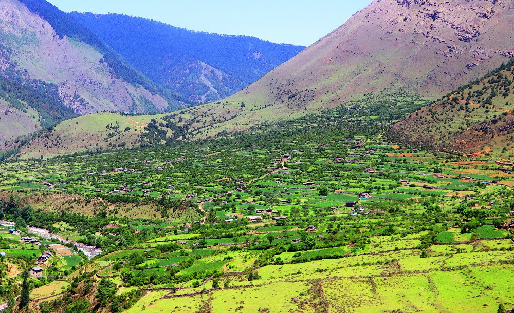 उज्यालो पर्खिरहेको निसेलढोर