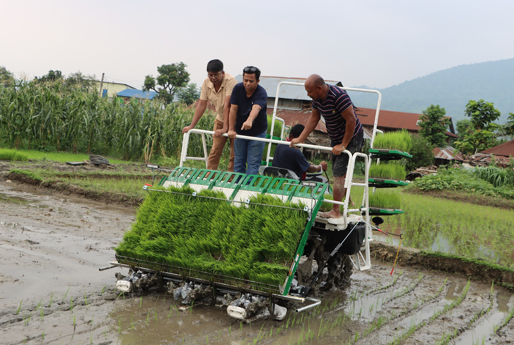 आधुनिक प्रविधिको प्रयोग गरी धान उत्पादन गरिँदै