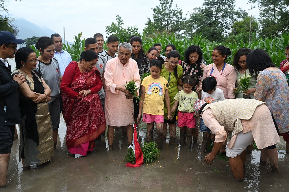 शीतल निवासमा राष्ट्रपति पौडेलले रोपे धान