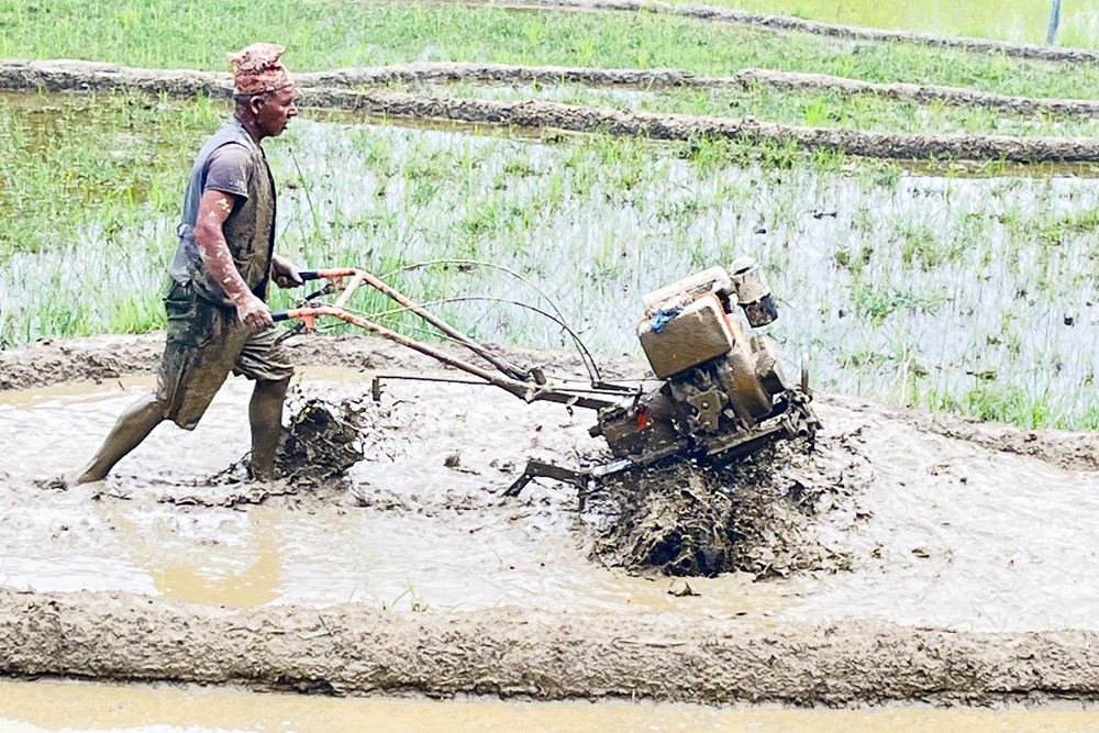 ५० प्रतिशत अनुदानमा कैलालीका १६० किसानलाई कृषियन्त्र वितरण