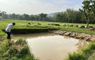 वन्यजन्तुका लागि जंगलमै पोखरी निर्माण