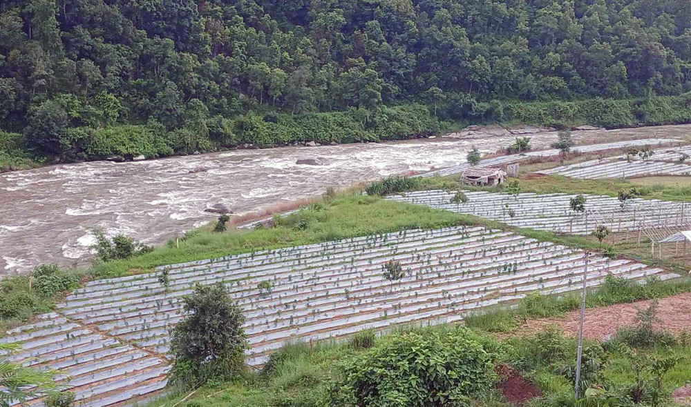 कृषिमा उदाहरणीय काम गरिरहेका छन् सूर्य