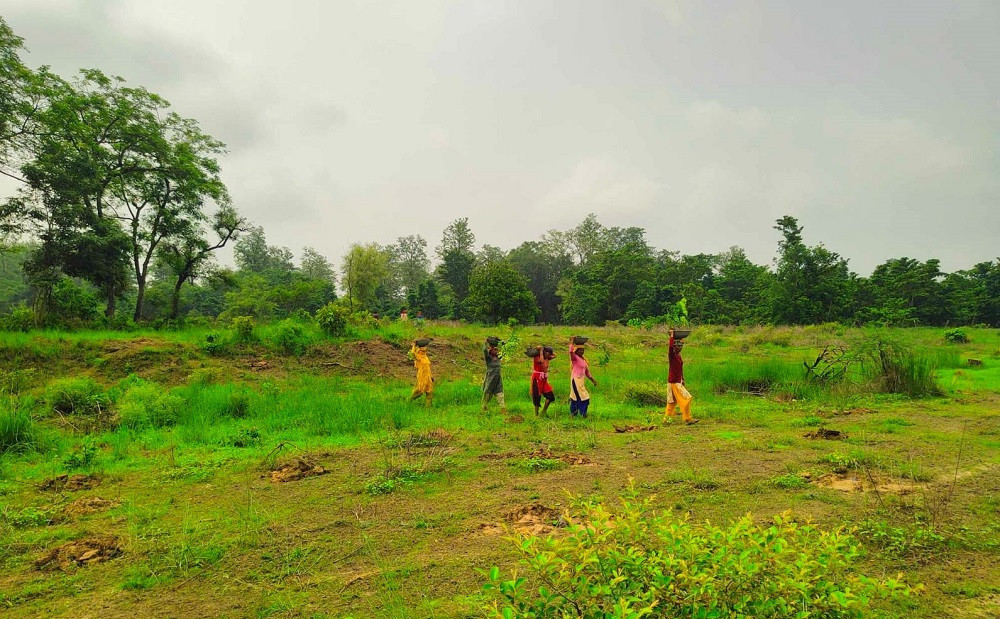 बाँकेमा यो वर्ष ६८ दशमलव ३४ हेक्टर खाली जमिनमा वृक्षरोपण, ६९ लाखभन्दा बढी खर्च